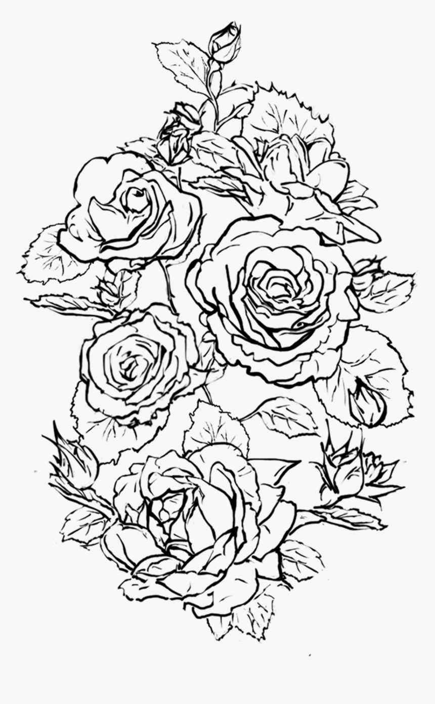 Floribunda, HD Png Download, Free Download