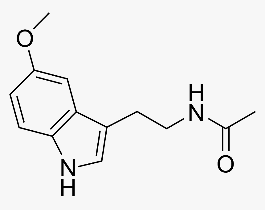 Melatonin - Intermolecular Forces In Melatonin, HD Png Download, Free Download