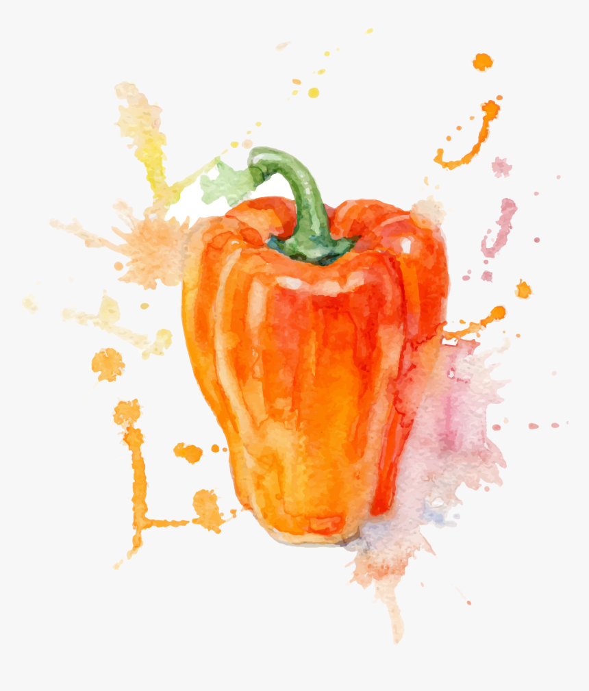 Watercolor Painting Vegetable Illustration - Carolina Reaper Chilli Drawing, HD Png Download, Free Download