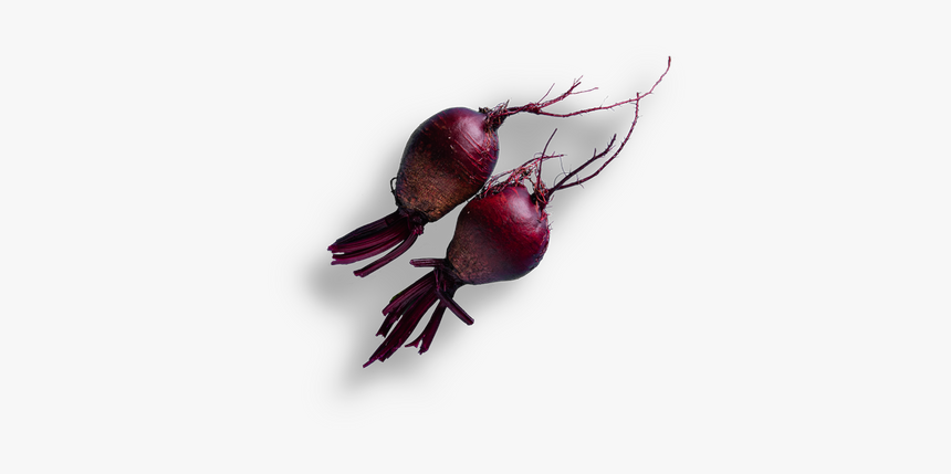 Rose Hip, HD Png Download, Free Download