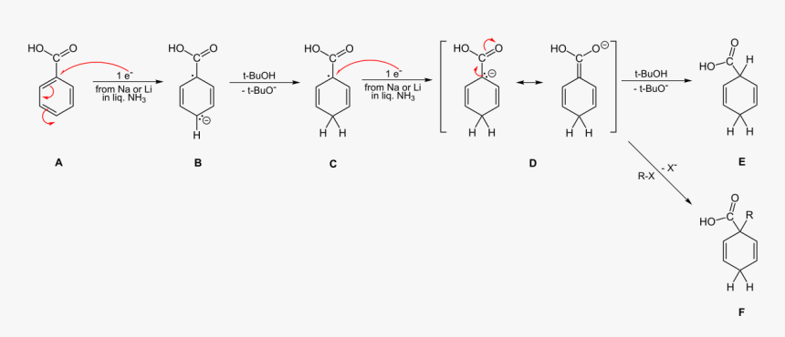 File - Birch-benzoic Mech - Svg - Birch Reduction Mechanism, HD Png Download, Free Download