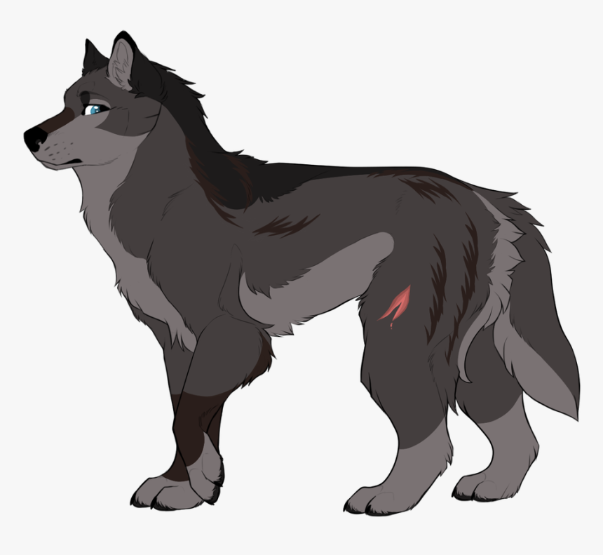 Picture - Schipperke, HD Png Download, Free Download