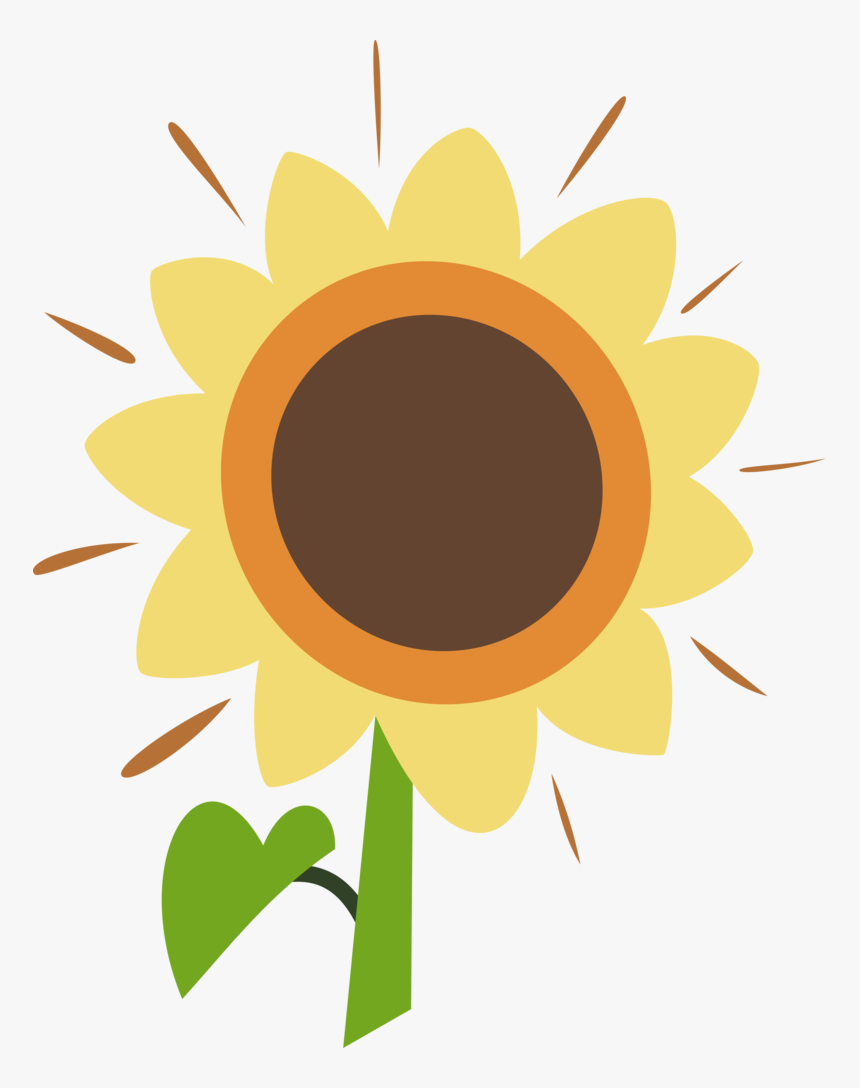 Meadow Flower Cm By Ambassad0r Clipart , Png Download - Sunflower, Transparent Png, Free Download