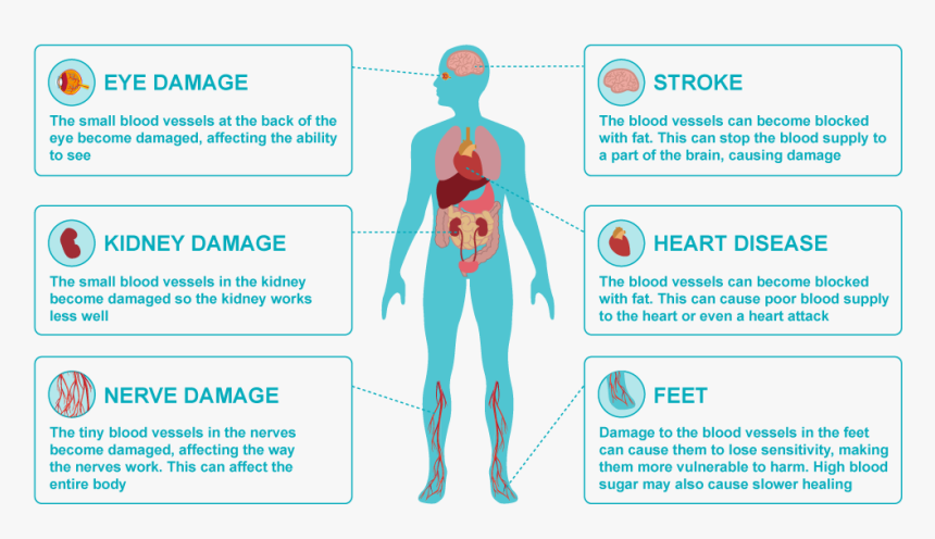 Problems Can Diabetes Cause , Png Download - Diabetic High Blood Glucose, Transparent Png, Free Download