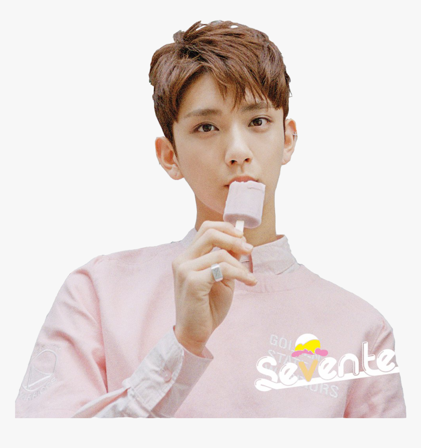 Transparent Wonwoo Png - Seventeen Very Nice Joshua, Png Download, Free Download