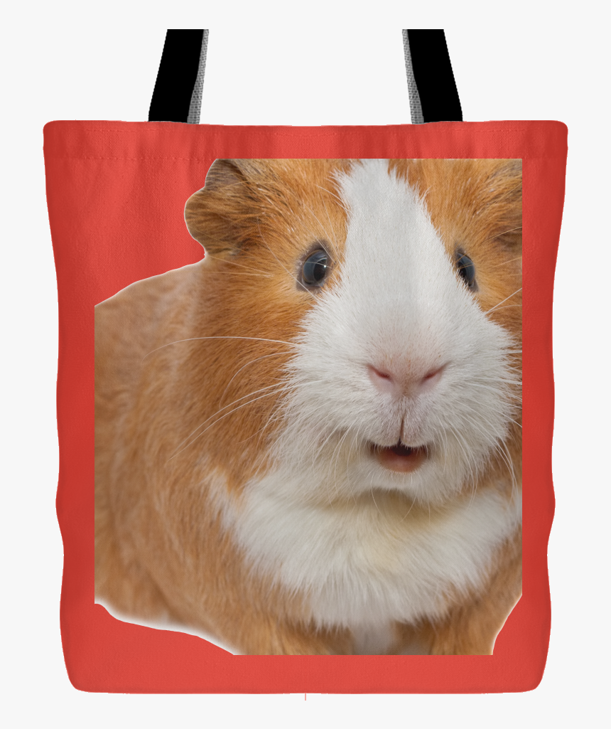 Guinea Pig Smiling, HD Png Download, Free Download