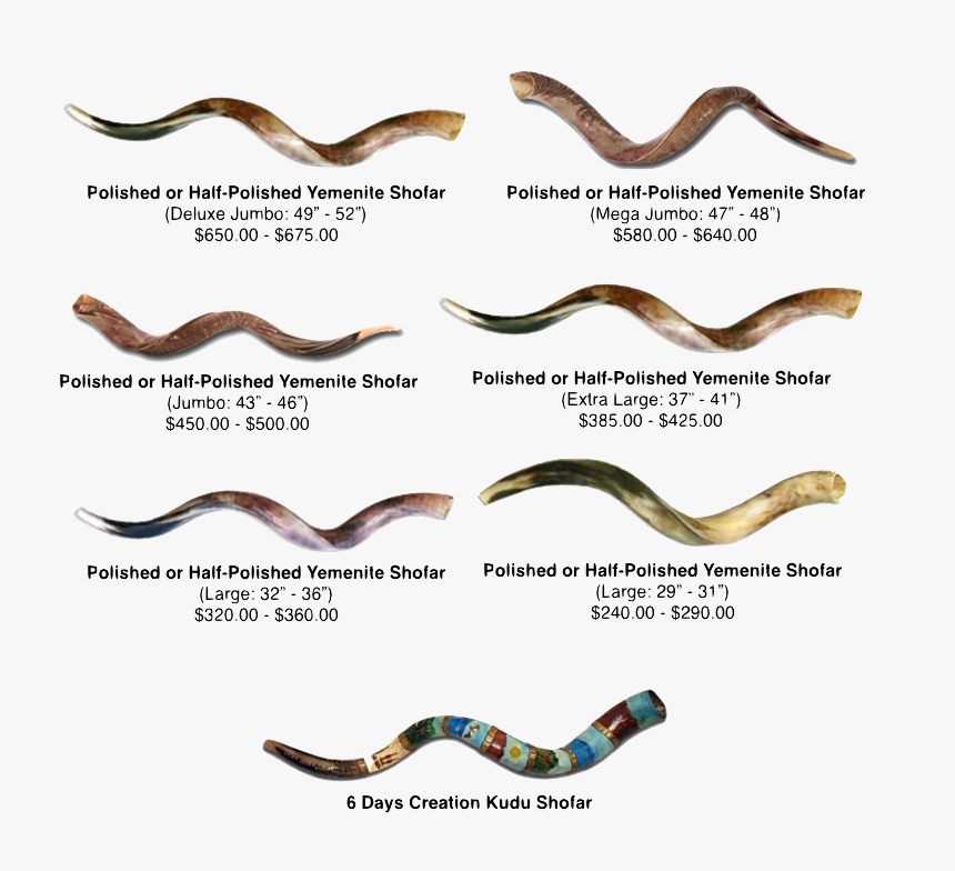 Shofar Png , Png Download - Shofar Bags, Transparent Png, Free Download