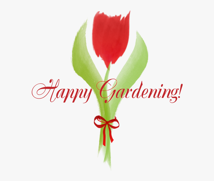 Happy Gardening 16 Oz Stainless Steel Travel Mugs , - Tulip, HD Png Download, Free Download