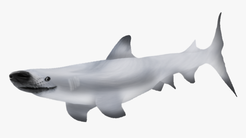 Bronze Hammerhead Shark, HD Png Download - kindpng