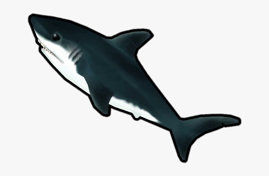 S Journey Wiki - Great White Shark, HD Png Download, Free Download