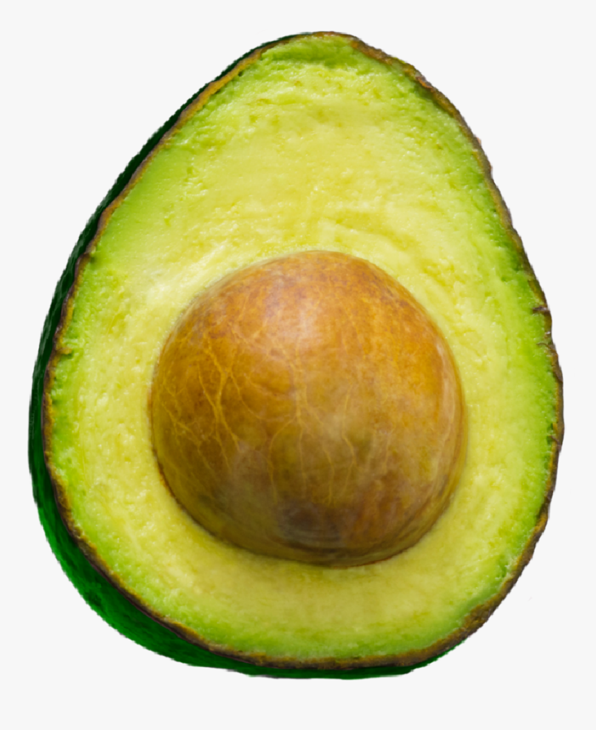 #avacadostickers #avacadoremix #avacado, HD Png Download, Free Download