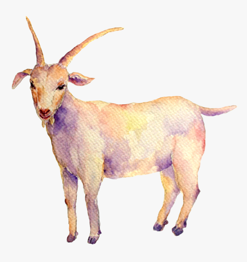 Capricorn-moon - Goat, HD Png Download, Free Download