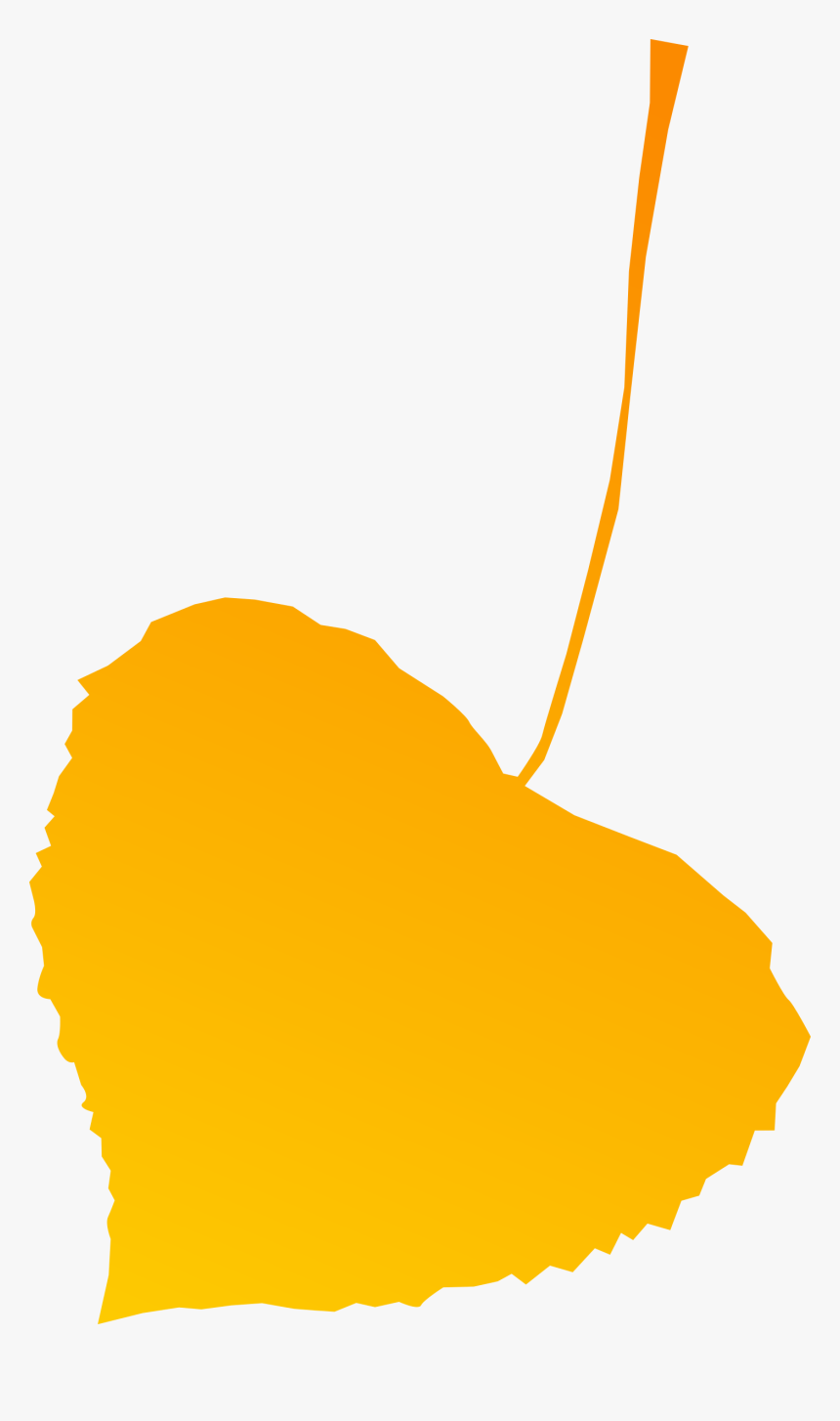 Free Vector Autumn Leaf Yellow - Autumn Leaf Vector, HD Png Download, Free Download