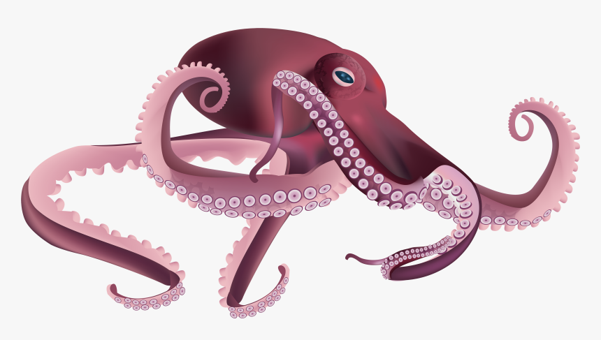 Transparent Background Octopus Clipart, HD Png Download, Free Download