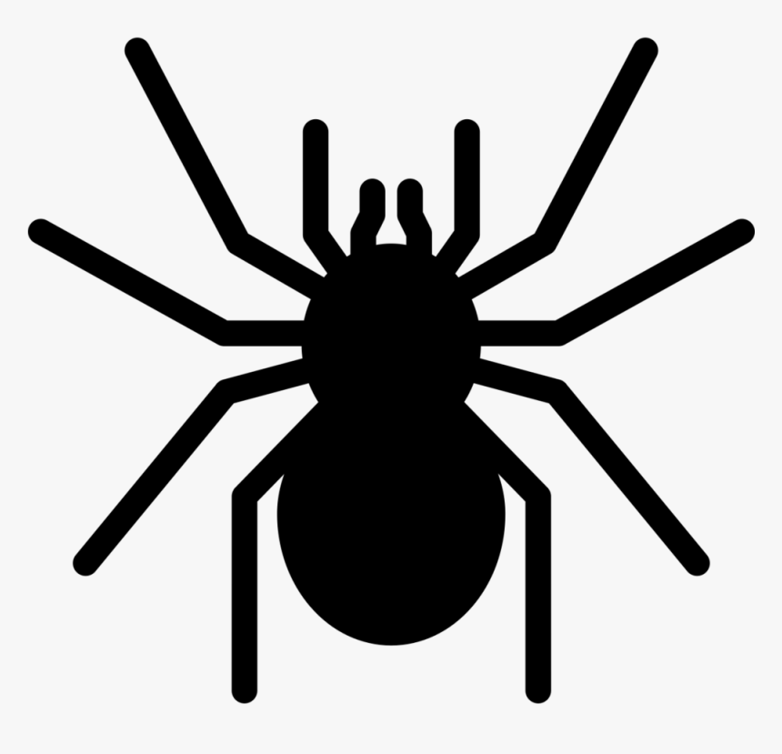 Noun Tarantula 1975343 000000 - Tarantula Icon, HD Png Download, Free Download