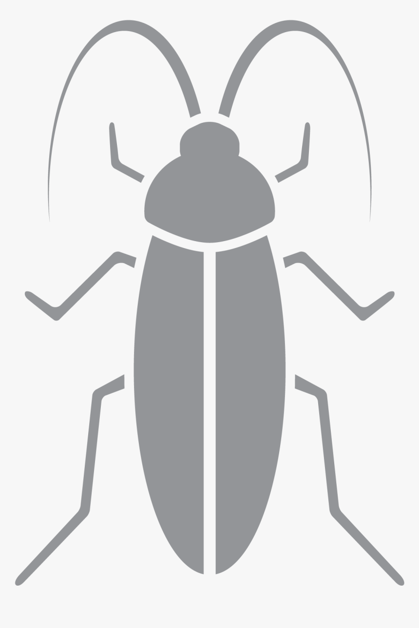 Transparent Pest Png - Weevil, Png Download, Free Download