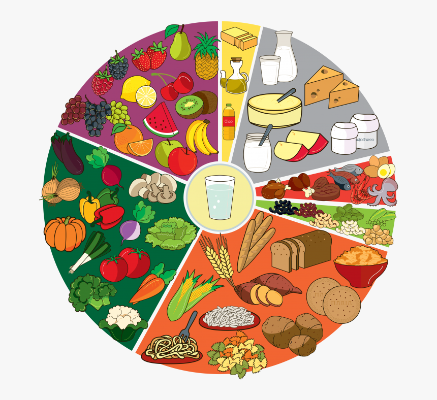 Roda Dos Alimentos 2016 Nova Roda Dos Alimentos HD Png Download