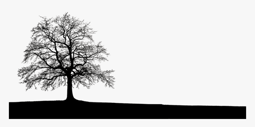 Naturaleza, Árbol, Paisaje, Campo, Silueta, Atmósfera - Royalty Free Lone Tree, HD Png Download, Free Download