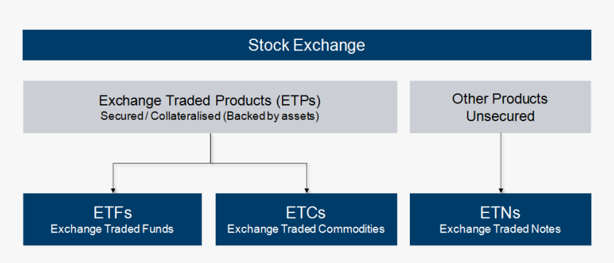 Market Png, Transparent Png, Free Download