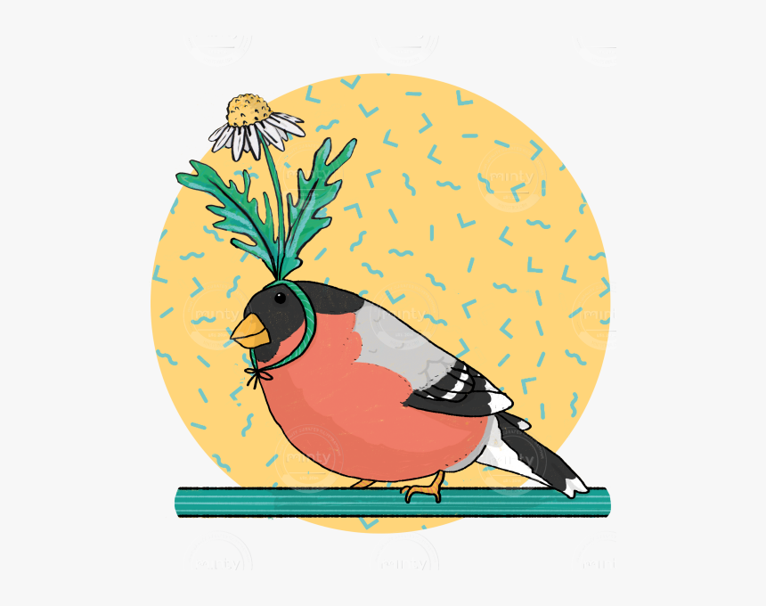 Bird Of A Feather Funny Cute Illustration Of A Robi - Illustration, HD Png Download, Free Download