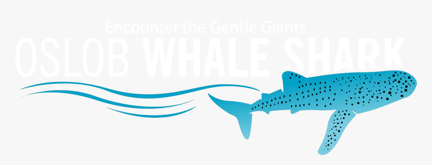 Oslob Whale Shark - Whale Shark, HD Png Download, Free Download