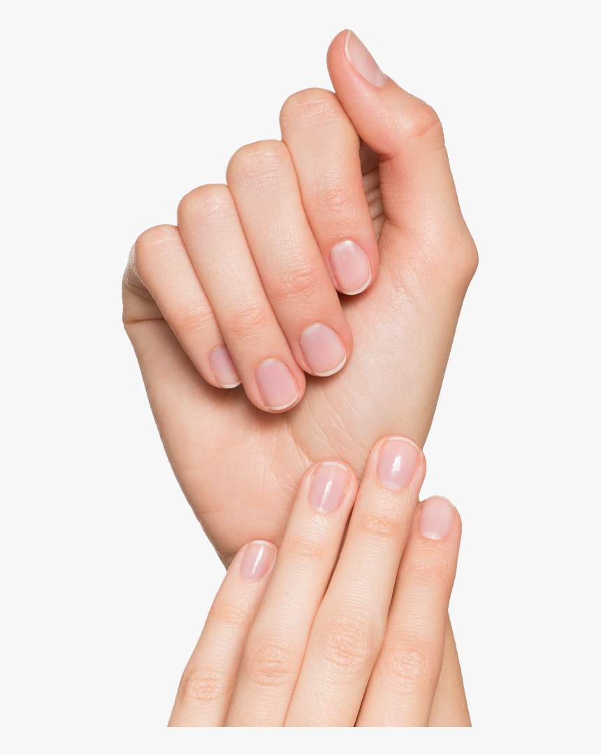 Manicure, HD Png Download, Free Download