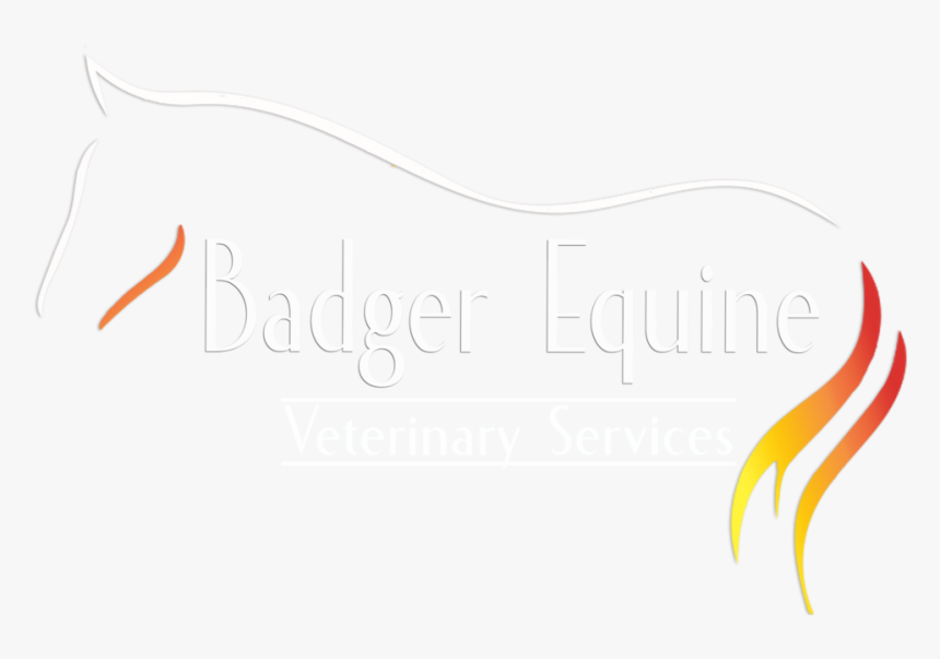 Badger Equine Logo White Topline And Text - Calligraphy, HD Png Download, Free Download