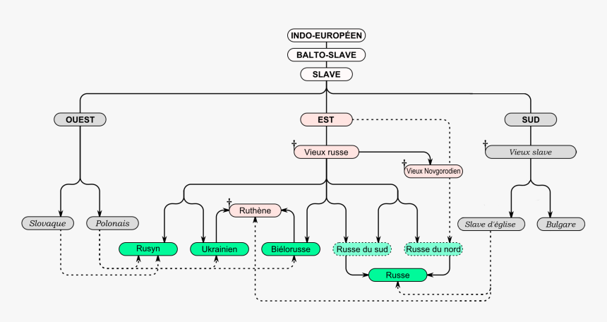 East Slavic Languages Tree Fr - Langues Slaves, HD Png Download, Free Download