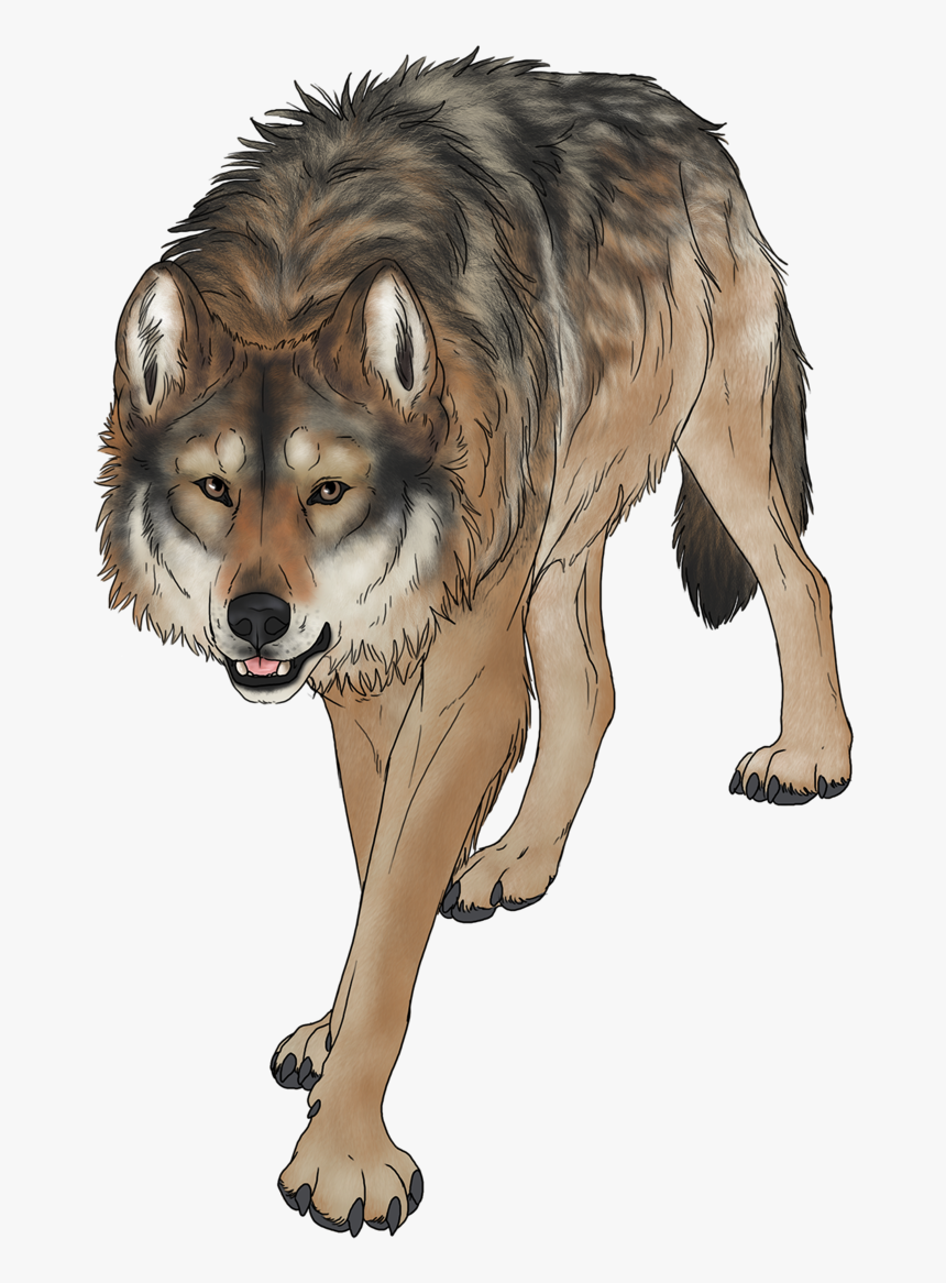 Transparent Wolf Png - Pathfinder Wolf, Png Download, Free Download