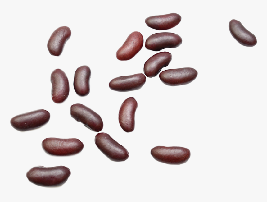 Background Beans Kidney Transparent - Kidney Bean, HD Png Download, Free Download