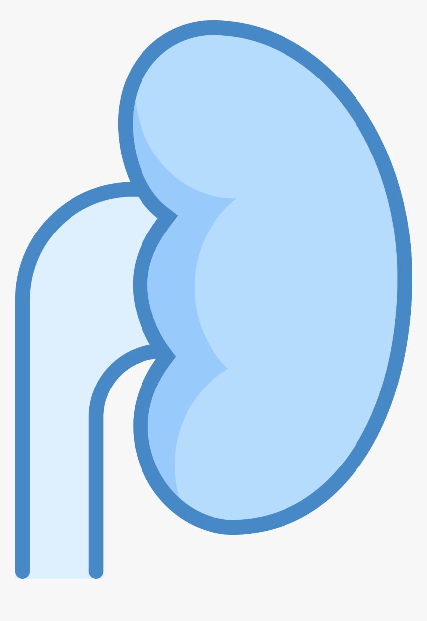 The Icon "kidney - Circle, HD Png Download, Free Download