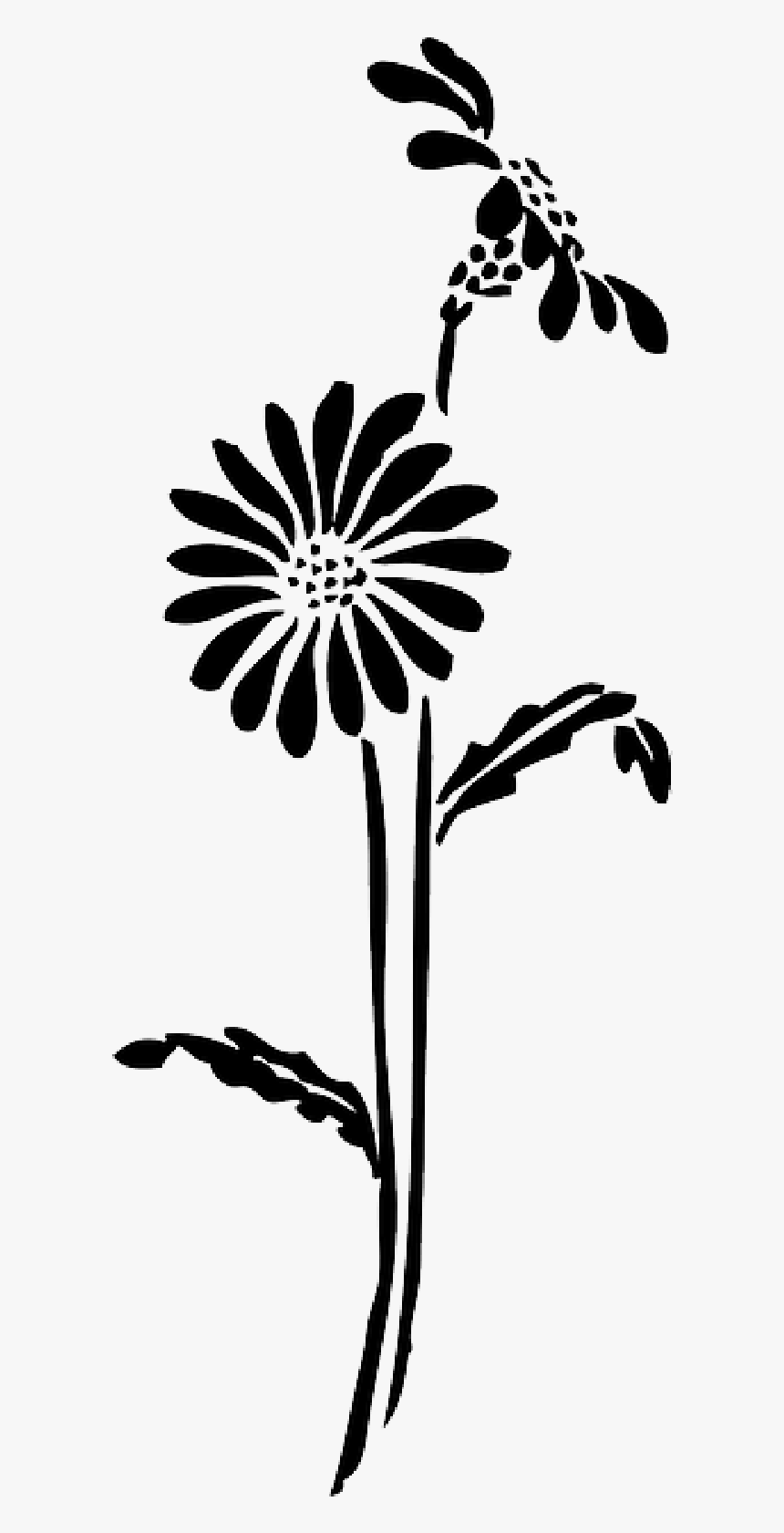 Black, Silhouette, Flower, White, Flowers, Daisy, Plant - Silhouette