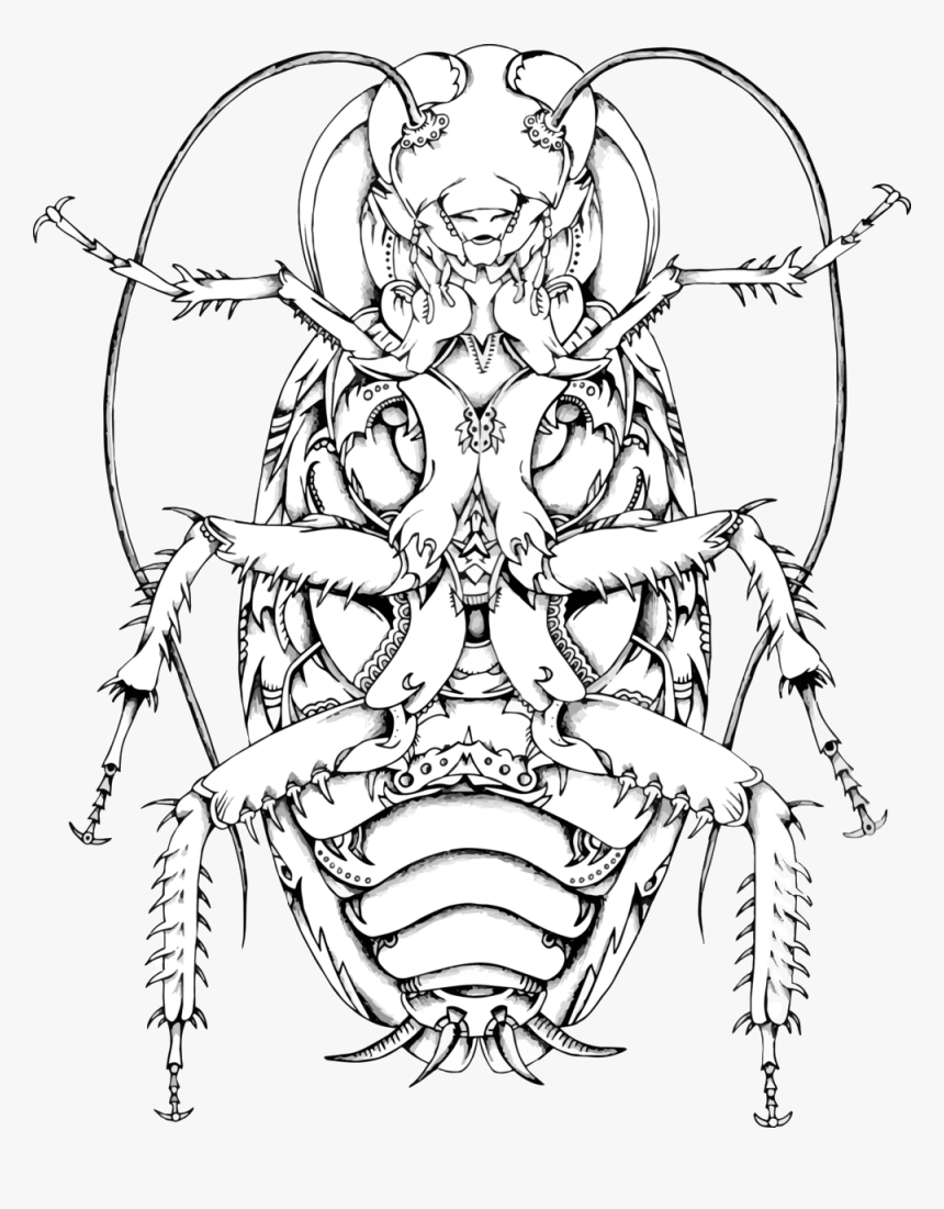 Roach - Line Art, HD Png Download, Free Download