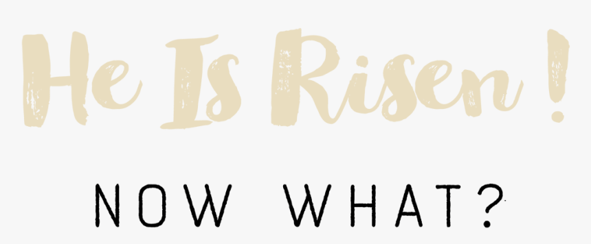 Transparent He Is Risen Png - Calligraphy, Png Download, Free Download