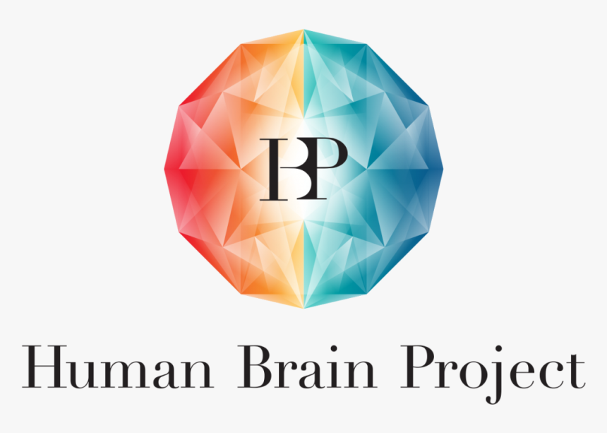 Human Brain Project - Hbp Human Brain Project, HD Png Download, Free Download