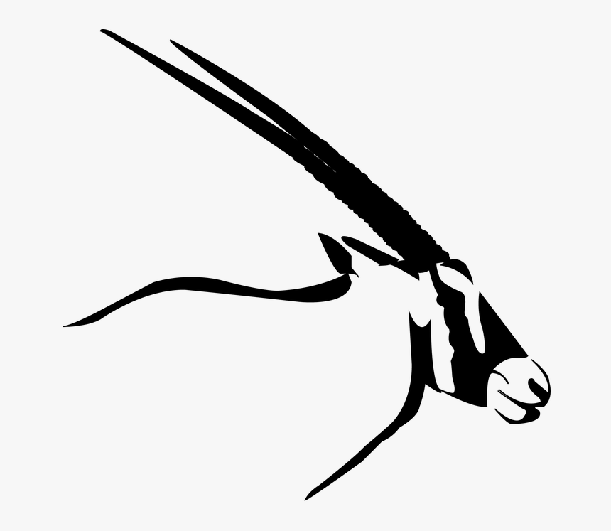 Oryx Clipart African Animal - Oryx Png, Transparent Png, Free Download