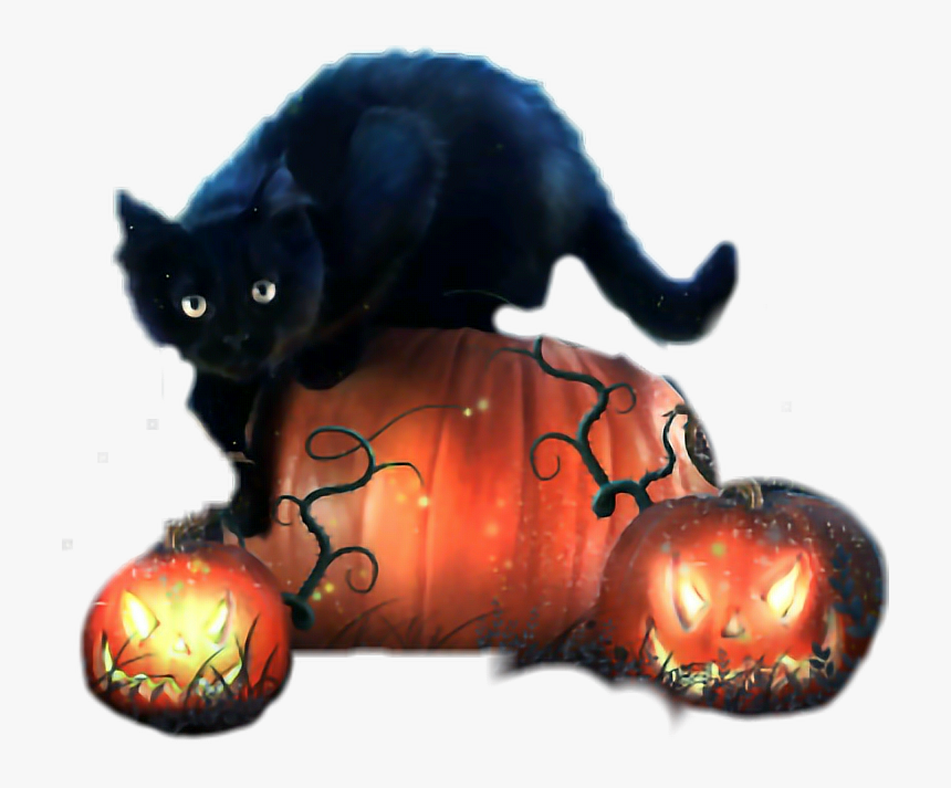 #halloween #cat #mur - Halloween Psychic Reading, HD Png Download, Free Download