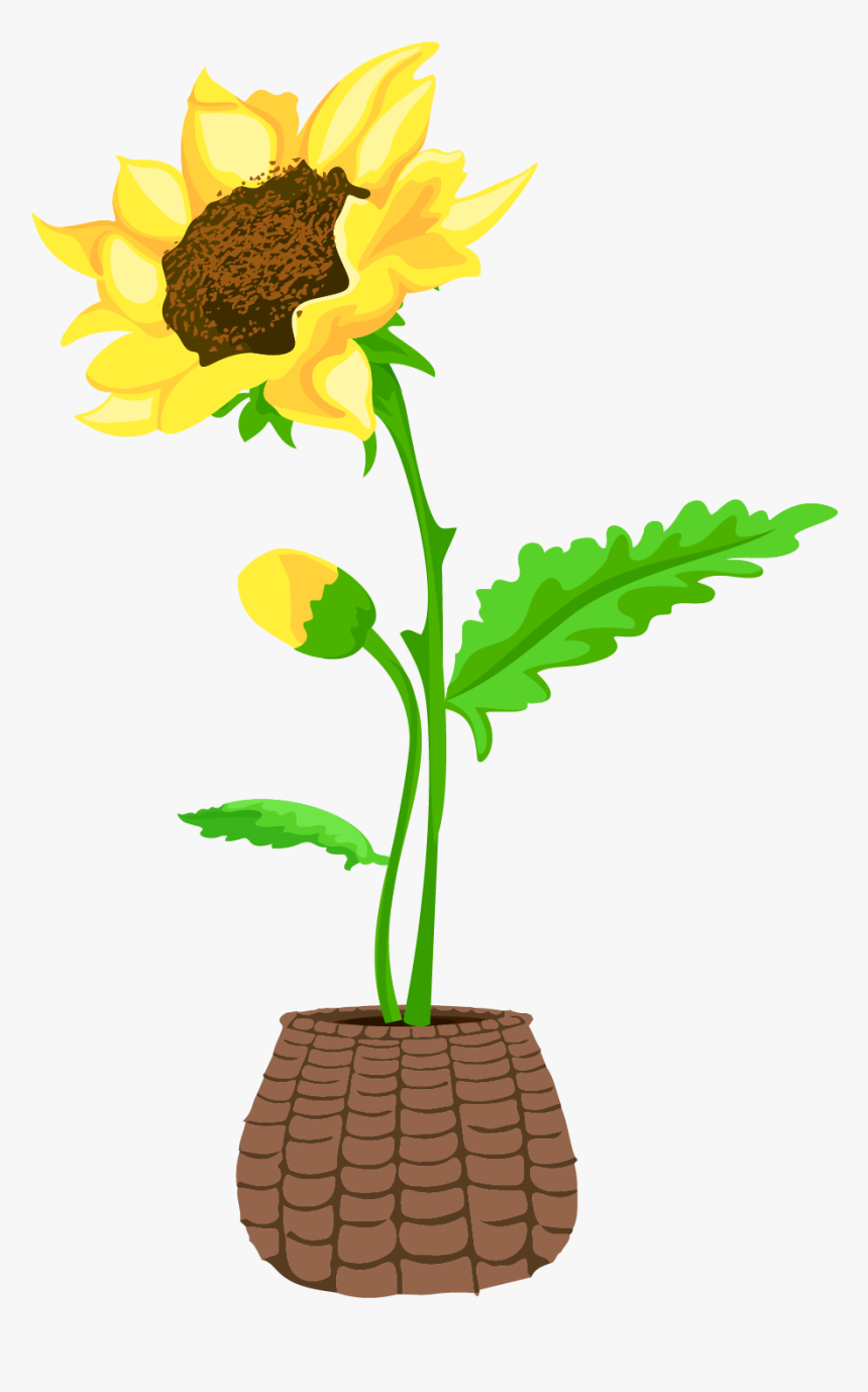 Bonsai Sunflower Flower Hand Drawn Wind Png And Vector - Acuarela Girasol  Png, Transparent Png - kindpng