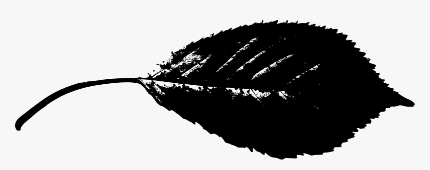 Leaf Silhouette Png - Beech Leaf Silhouette, Transparent Png, Free Download