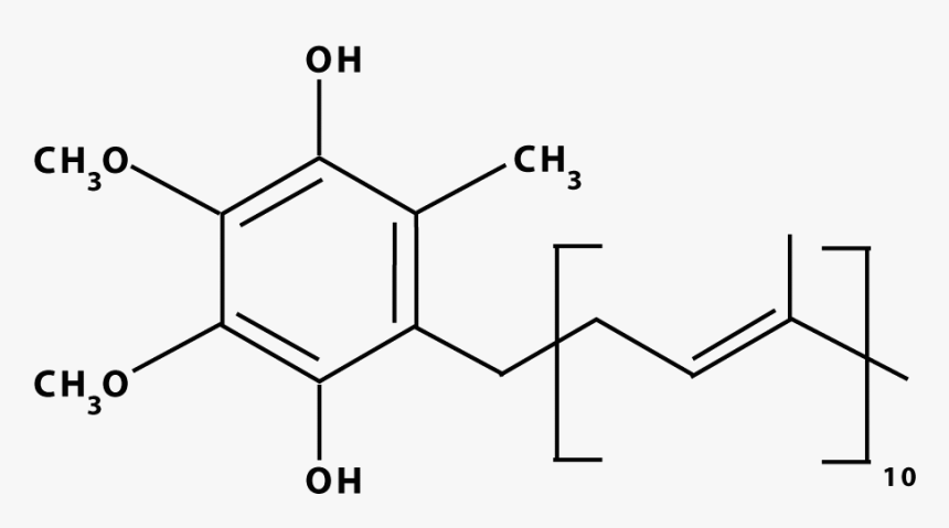 Ubiquinol Molecule - Coenzyme Q, HD Png Download, Free Download