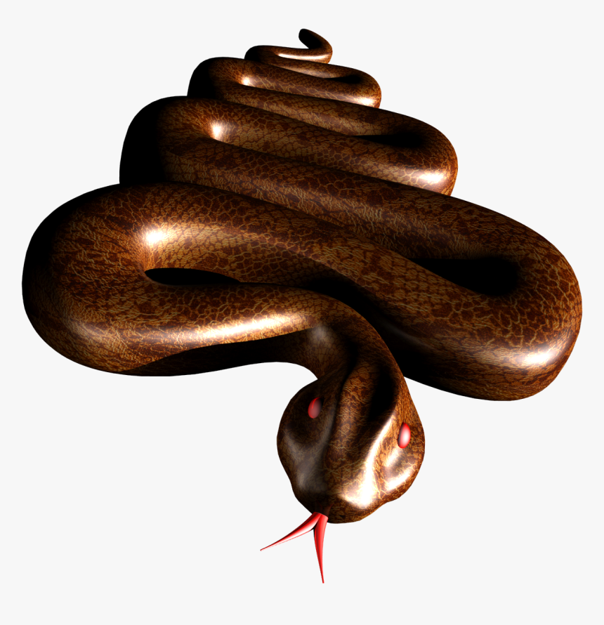 Snake, HD Png Download, Free Download