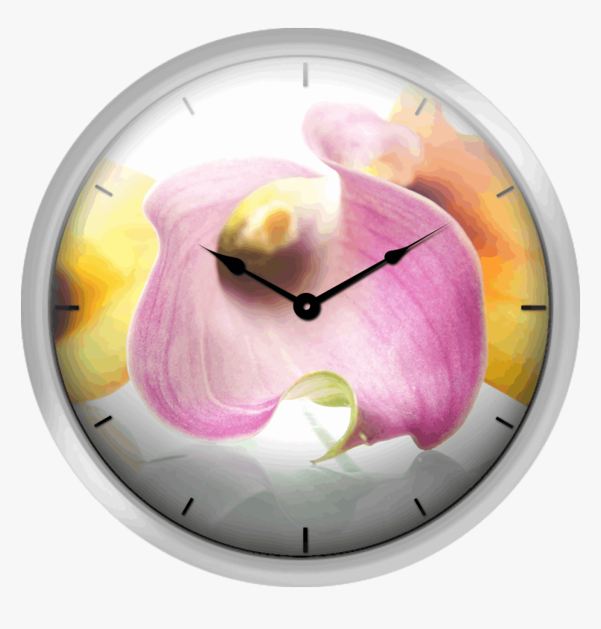 Calla Lilies - Wall Clock, HD Png Download, Free Download