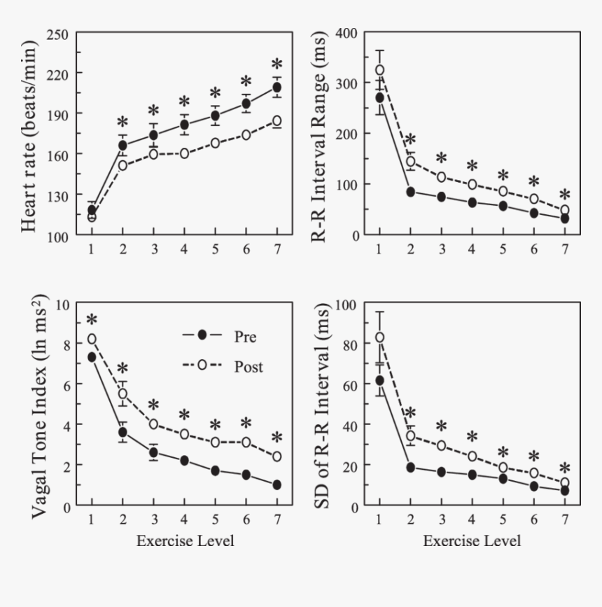 Heart Rate Decrease After Exercise, HD Png Download, Free Download