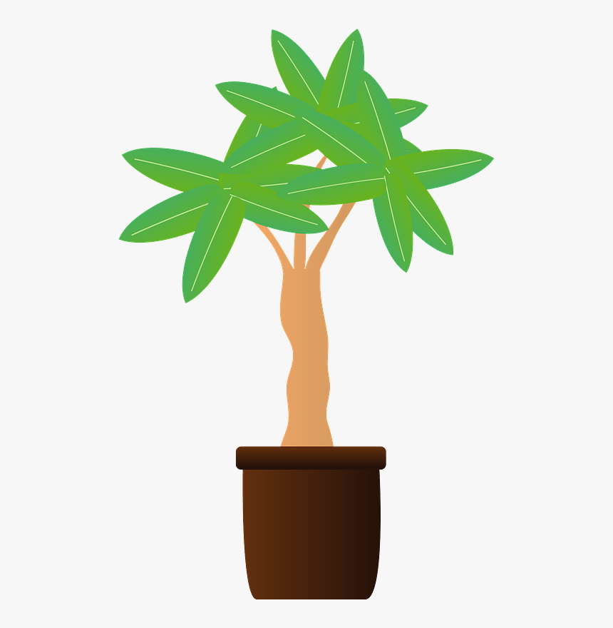 Houseplant, HD Png Download, Free Download