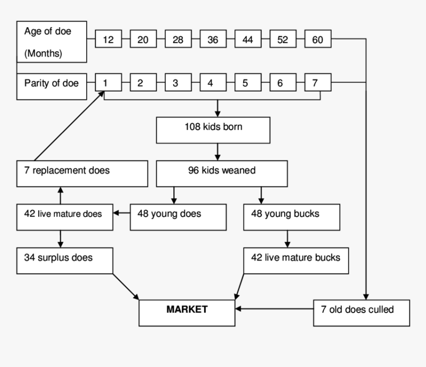 Diagram, HD Png Download, Free Download