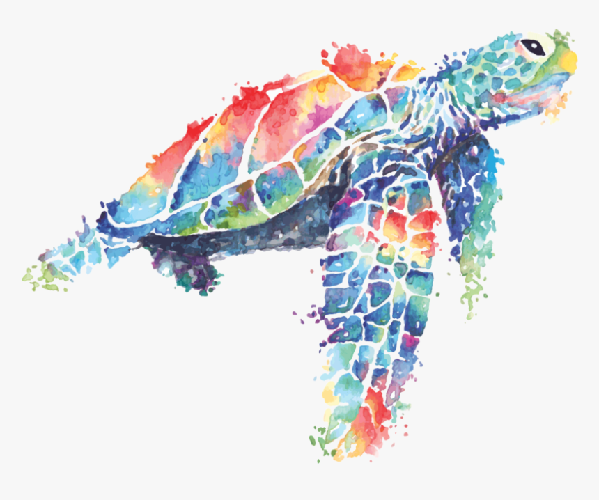 Sea Turtle Painted In Watercolor Vector - Tortue De Mer Dessin, HD Png Download, Free Download