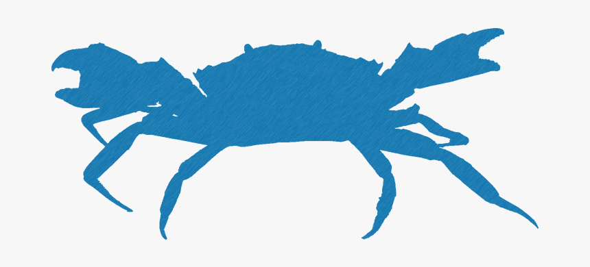 Logo Design By Tiltons For Blue Crab - Green Crab White Background, HD Png Download, Free Download