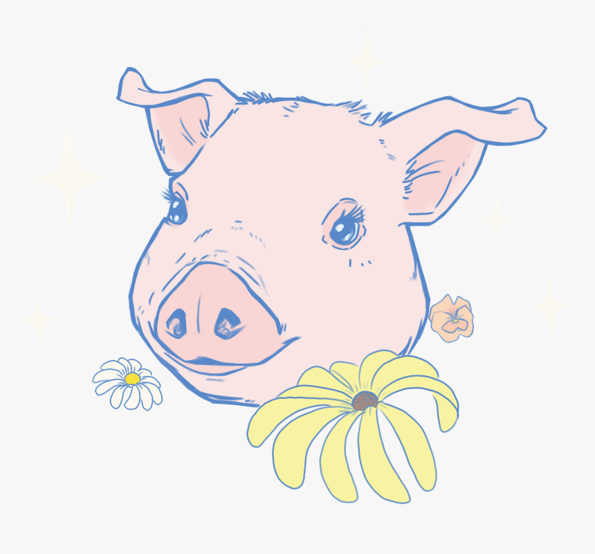 Domestic Pig , Png Download - Domestic Pig, Transparent Png, Free Download