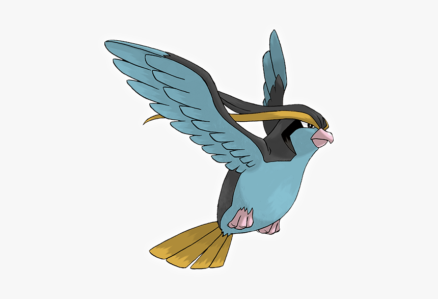 Pokemon Pidgeot, HD Png Download, Free Download