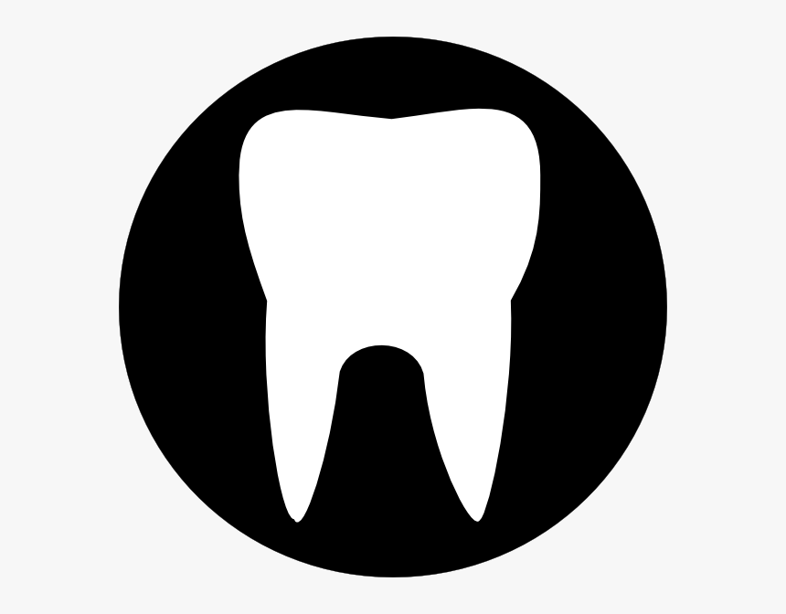 Clipart Tooth Outline , Png Download - Human Tooth, Transparent Png, Free Download